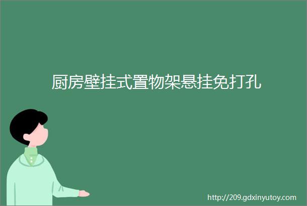 厨房壁挂式置物架悬挂免打孔