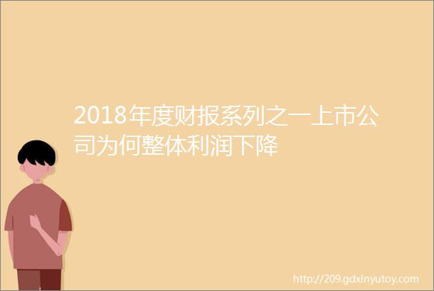 2018年度财报系列之一上市公司为何整体利润下降