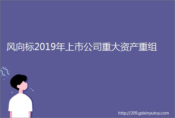 风向标2019年上市公司重大资产重组