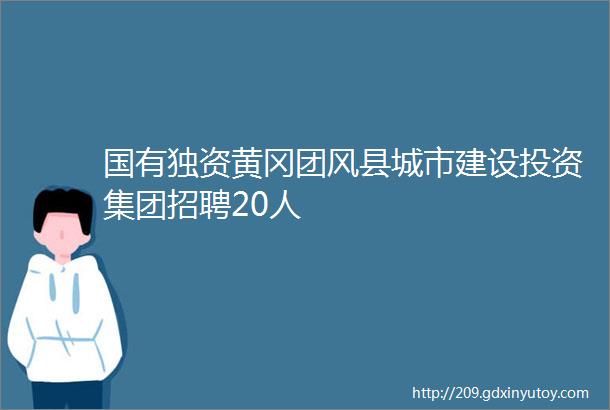 国有独资黄冈团风县城市建设投资集团招聘20人