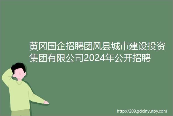 黄冈国企招聘团风县城市建设投资集团有限公司2024年公开招聘工作人员公告